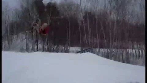 Dolbeau Domiski 2007-2008