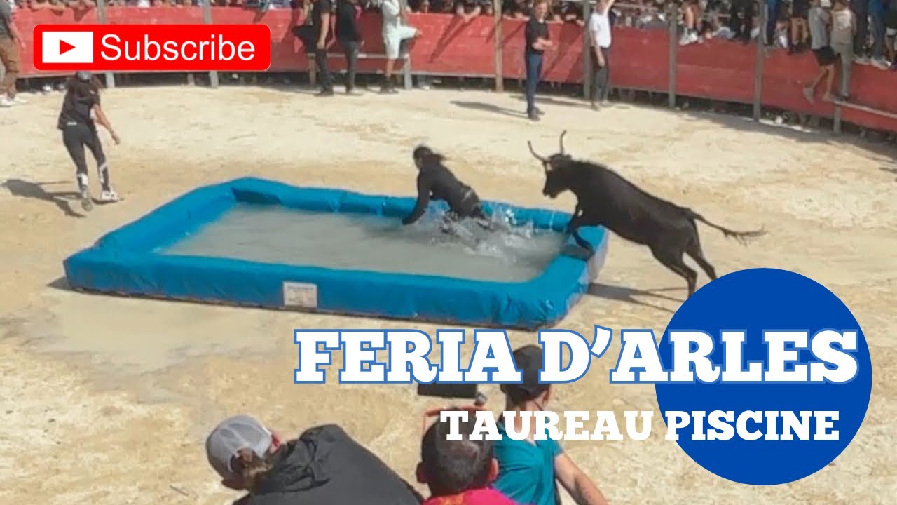 1️⃣ taureau piscine 💦 Feria d’Arles 🎉 21/04/25 Manade Saint Germain ￼- Vachette
