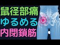 【股関節痛】効かせる！内閉鎖筋ゆるめるテクニック