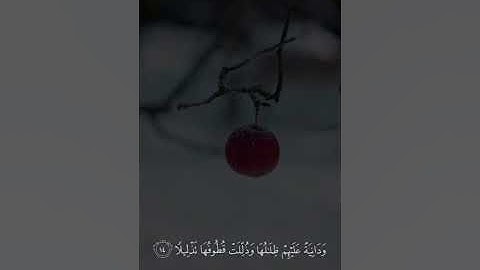 آيات من سورة الإنسان للقارئ الشيخ فؤاد السويلمي