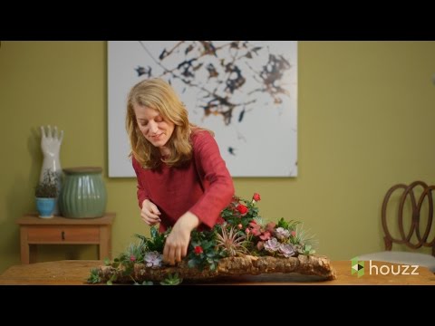 Video: Čo je živý ústredný prvok – začlenenie izbových rastlín ako ústredný prvok
