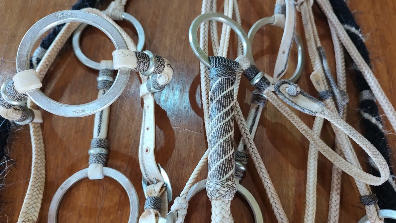 traia de alpaca argolas escrita #33