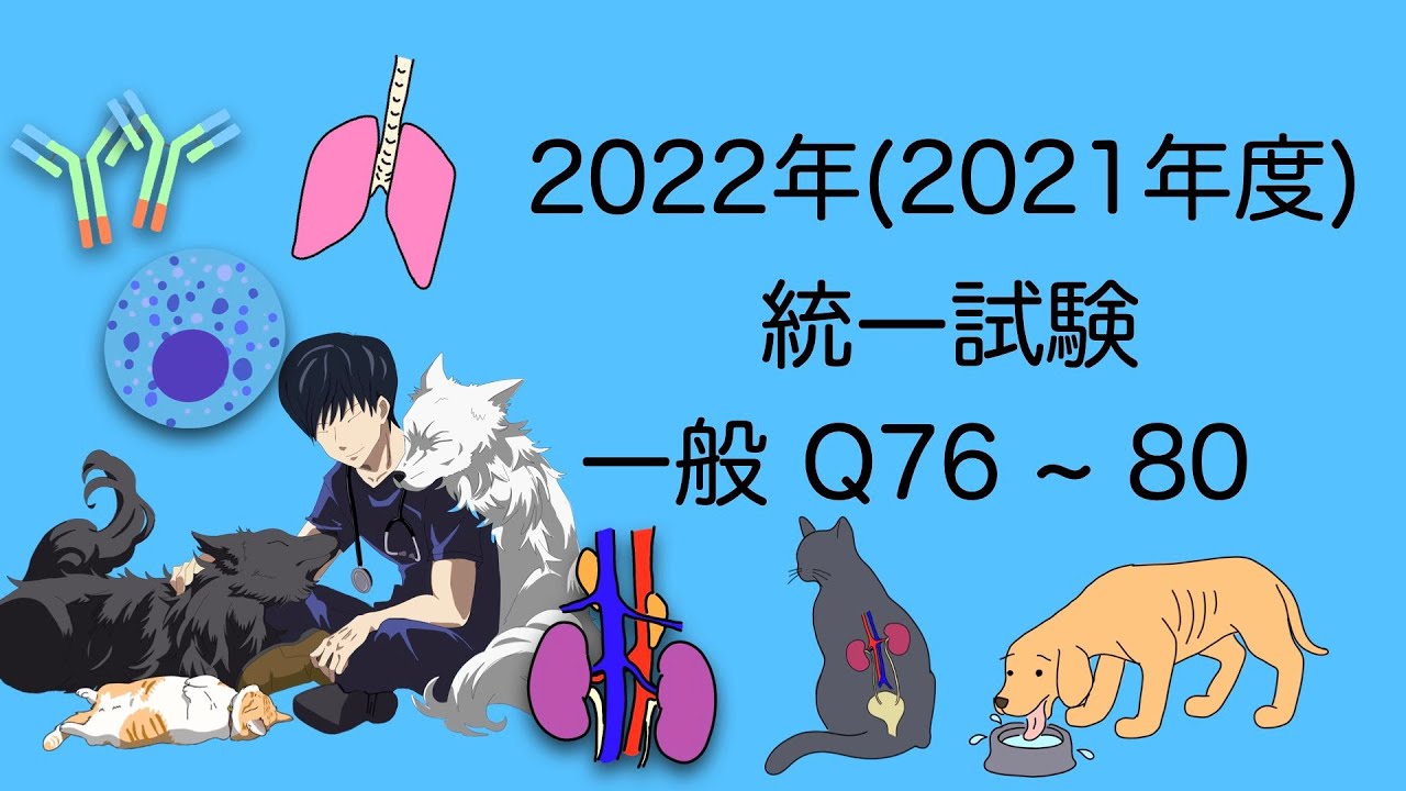 愛玩動物看護師 国家試験対策 2022一般Q76~80 愛玩動物看護師国家試験対策 - YouTube