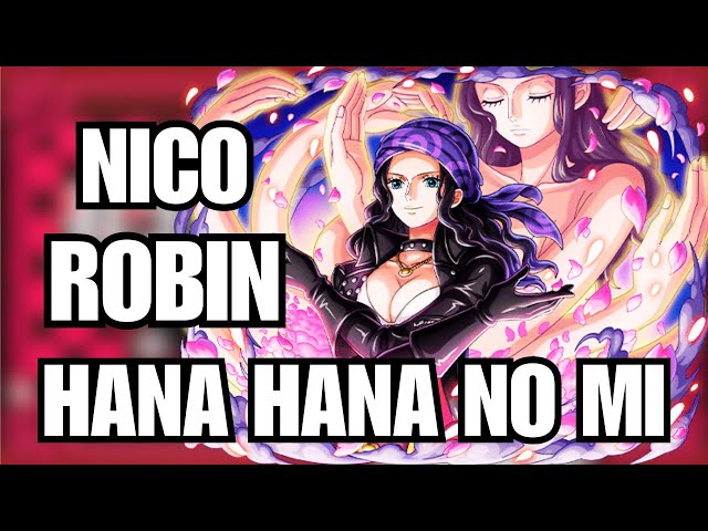 Nico Robin's Insane Devil Fruit Powers Explained!, Hana Hana no Mi