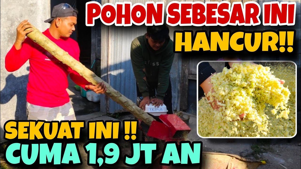 POHON HANCUR!!! TEST KEKUATAN MESIN MULTIFUNGSI YANG BANYAK DICARI || MT1900 TERLARIS