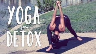 Detox Yoga | 20 Minute Yoga Flow for Detox and Digestion screenshot 5