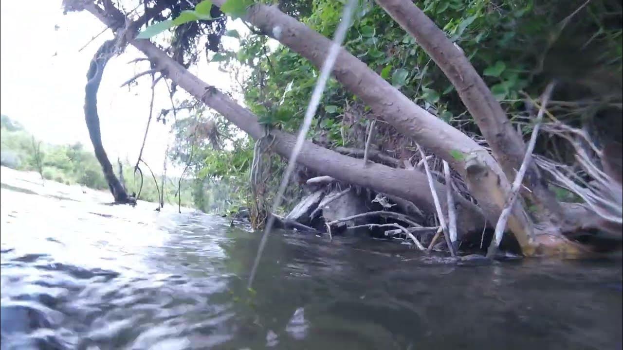 Crooked Creek, Arkansas underwater raw video YouTube