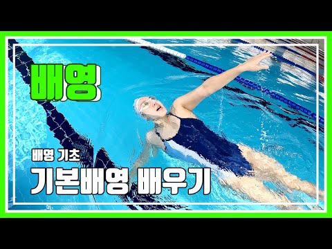 배영 기초 1. 기본자세/발차기/팔돌리기/호흡법