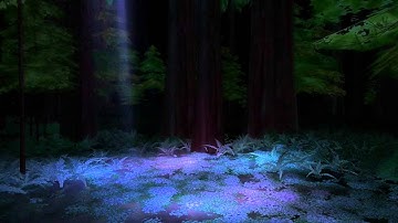 Live Music Visuals - The Lonely March