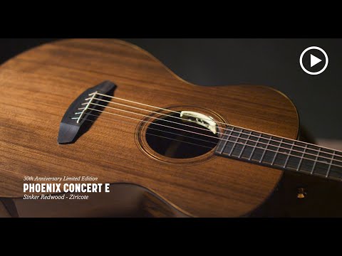 Breedlove 30th Anniversary Phoenix Concert E