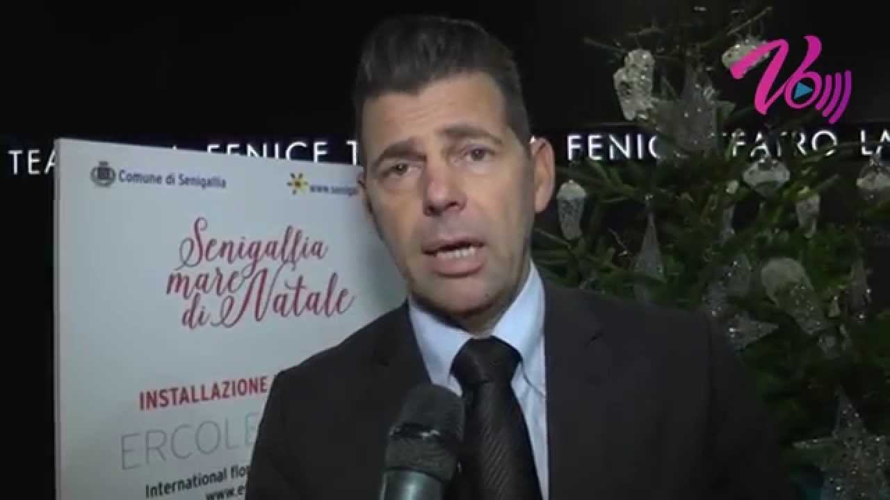 Notizie Senigallia WebTv del 26-11-15