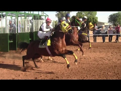 Cuantas Carreras Corren Los Caballos En Su Carrera