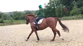 Copper Flatwork 1