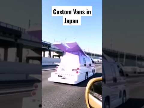 Customs Vans in