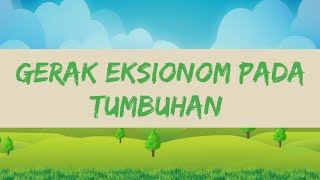 Sistem Gerak pada Tumbuhan : Gerak Eksionom | Nasti Tropisme Taksis