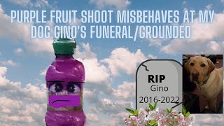 Purple Fruit Shoot misbehaves at my dog Gino's funeral/Grounded