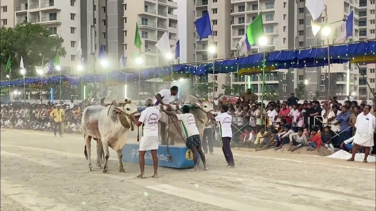 DVR MEMORIAL VEERA & DHEERA at KUNCHANAPALLI 2022 YouTube