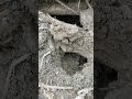 Uncovering the Secrets of the Mysterious Hole | What Lies Beyond?