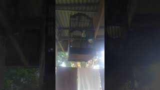 Top Hits - Masteran Kasaran