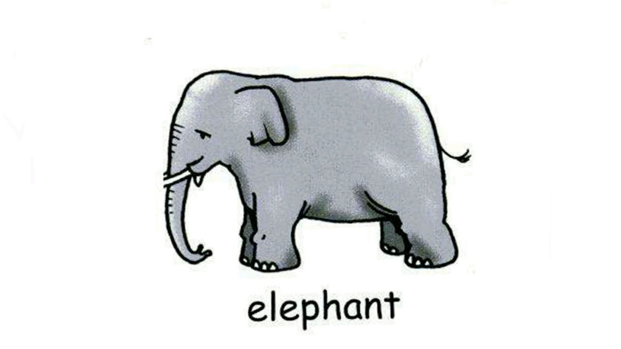 Elephant перевод с английского. Слон по английскому. Слон карточка на английском. Elephant карточка на английском. Слоник карточка.