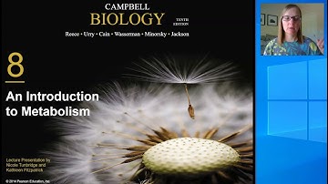 Chapter 8 Metabolism and Energy Introduction