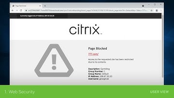 Secure Internet Access