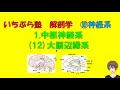 【いちぷら塾】解剖学　10神経系 1 中枢神経系 (12) 大脳辺縁系 #あん摩マッサージ指圧師、鍼灸師