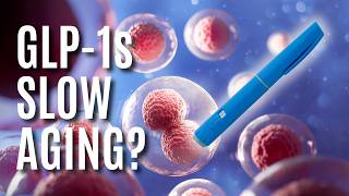 Can GLP-1 Medications Slow Aging New Research on Ozempic, Wegovy & Longevity
