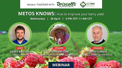 METOS KNOWS: How to improve your berry yield - DayDayNews