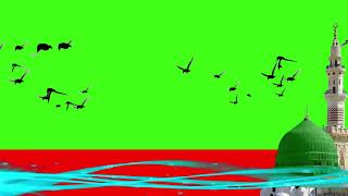 Birds Flying Around Madeena Shareef | Free Green Screen Background | Without Copyright Video
