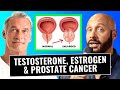 How to optimize testosterone  estrogen to prevent prostate cancer estrone  trt