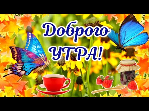 Доброе Утречко 🌹 Супер Прикольная Открытка С Добрым Утром Хорошего дня #сдобрымутром #доброеутро
