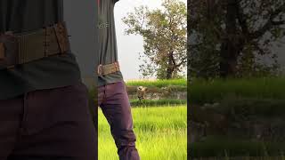 Amazing Eagle training flying speed #eagle #fbreelsvideo #training  #shortvideo #eaglehunting