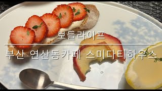 동카페 영상