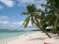 Steel drum band - Shake shake shake sonora