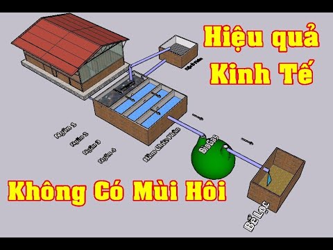 Video: Bạn có thể đặt quá nhiều chất thải X trong hệ thống tự hoại không?