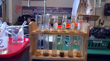 Macromolecules Lab Make Up Video