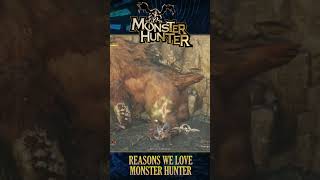 REASONS WE LOVE MONSTER HUNTER : THE COMMUNITY #shorts