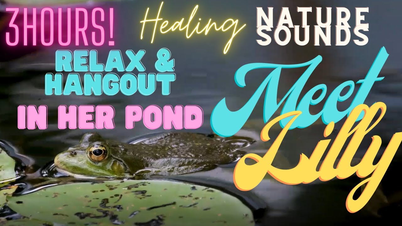 3 HRS! "LILLY's (Frog) POND " 100 Nature Sounds no music background