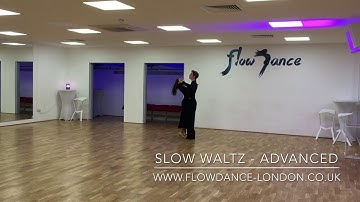 Slow Waltz Silver - Closed Impetus, Reverse Pivot, Double Reverse Spin, Progressive Chasse to Right