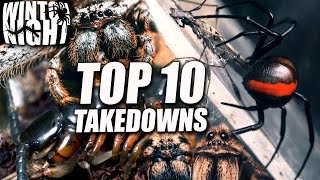 TOP 10 TAKEDOWNS OF 2018 - My Christmas Countdown