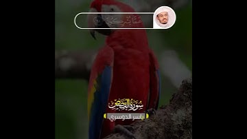 ( وربك يخلق ما يشاء ويختار ) تلاوة خاشعة للشيخ د.ياسر الدوسري ما تيسر من سورة القصص