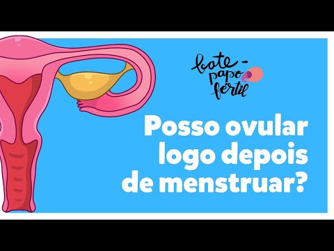 Vídeo: Em Que Dia Após A Menstruação é Possível A Concepção?