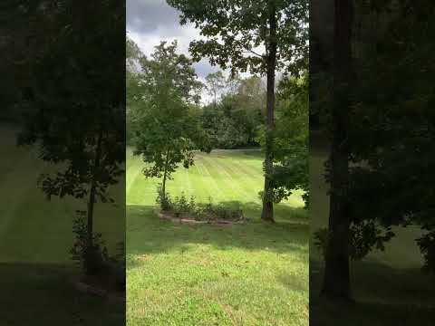 Mowing with the