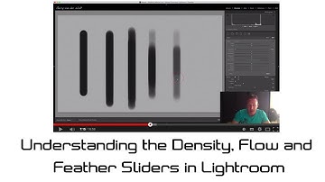 Wild Eye - Understanding the Density, Flow and Feather Sliders in Lightroom