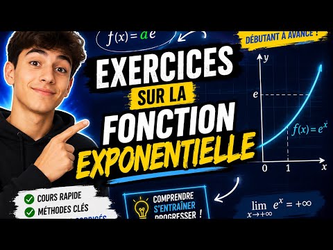 Fonction exponentielle : maths terminale (Exercice 2)