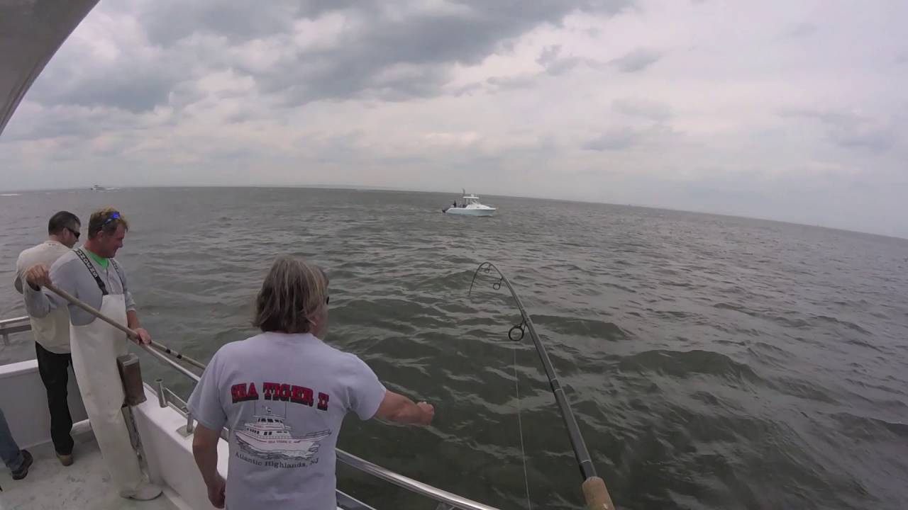 Fishing for Bluefish on the SeaTiger II in Atlantic Highlands NJ YouTube
