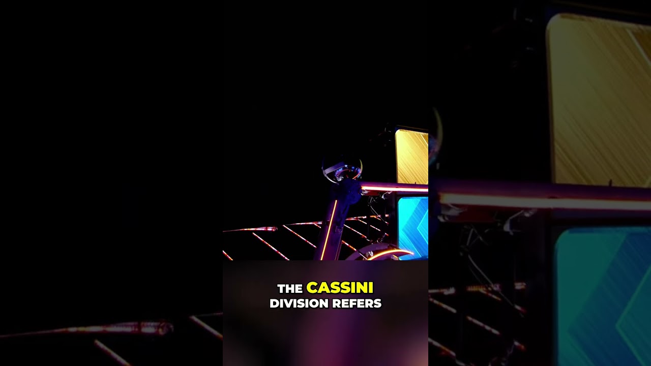 Fast-Paced Trivia Showdown: Who Knows Best? #shorts