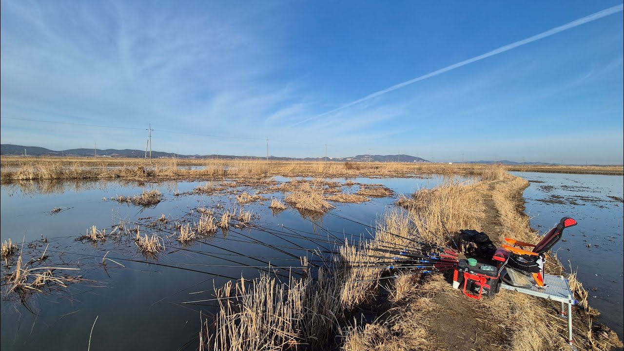[조황]_ 충남 대호 / 대박 소식에 사람 많습니다.