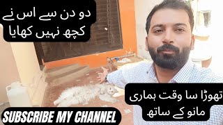 Hamarii Cat To Ab Koch Thek Sy Khatii Bhi Nahi Ha by Animal Lovers With Sardar 70 views 2 months ago 5 minutes, 20 seconds